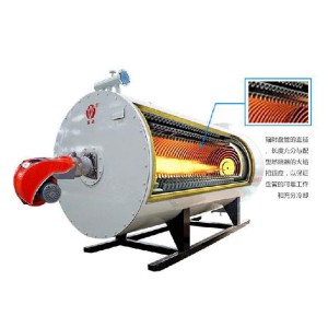 Heat transfer oil boiler